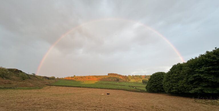 Derbyshire Dales